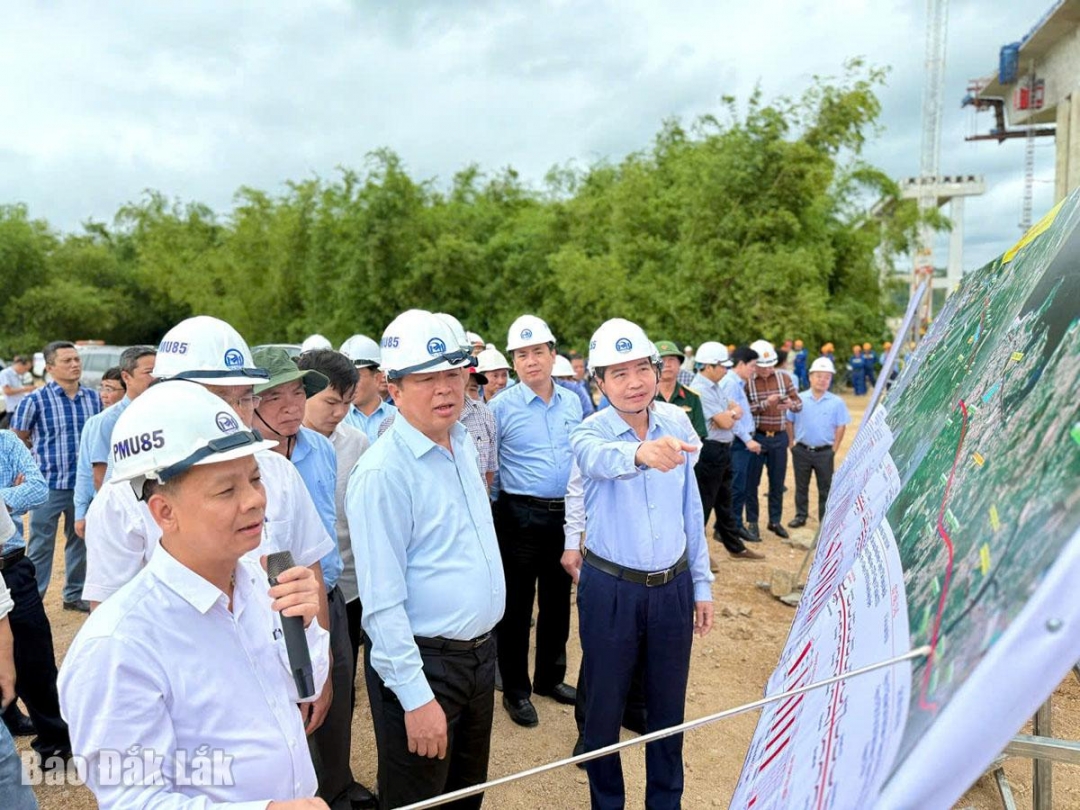 kiến tạo 1